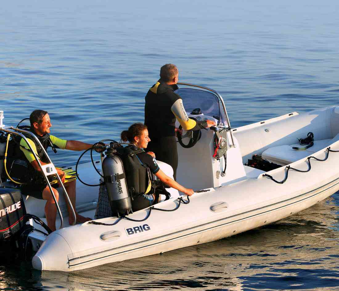 Falcon | falcon-tender-rider.jpg